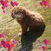 Janet Bateman - Facebook