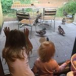 Janet Batten - @jandra140 - Instagram