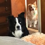 Janet Young - @janetbattenyoung - Instagram