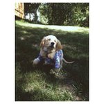 Janet Battle - @harespur - Instagram