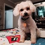Janet Beasley - @beasley_janet - Instagram