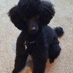 Janet Beasley - @beasley3013 - Instagram