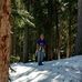 Janet Beavers - Facebook