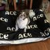 Janet Wilson Beeler - Facebook