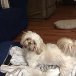 Janet Wilson Beeler - @janetbeeler - Instagram