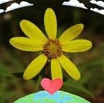 Janet Behrens - Facebook