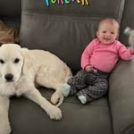 Janet Sims Holst-Behrens - @jlholstbehrens - Instagram