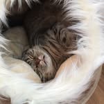 Janette Behrens - @nettisbigpictures - Instagram