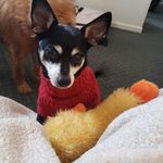 Janet Belcher - @janet_belcher - Instagram
