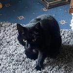 Janet Belcher - @janet.belcher.395 - Instagram