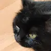 janettberger1 - @janettberger1 - TikTok