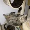 janettberger420 - @janettberger420 - TikTok