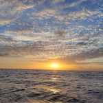 Janet Bergeron - @janet.bergeron.5 - Instagram