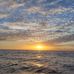 Janet Bergeron - Facebook