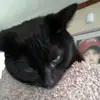 Janet Bernhardt - @janetbernhardt - TikTok