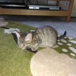 Janet Bewley - @bewleyjanet4 - Instagram