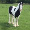 janetbewley651 - @janetbewley651 - TikTok