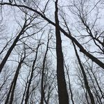 Janet Bilodeau - @bilodeaujanet - Instagram