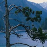 Janet Bledsoe - @bledsoe4817 - Instagram