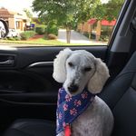 Todd Janet Bodine - @toddandjanet - Instagram