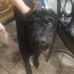 Janet Bogle - Facebook