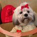 Janet Bohn - Facebook