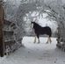 Janet Bohn - Facebook