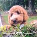 Janet Bollinger Brasel - Facebook
