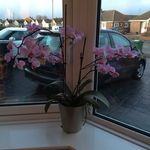 Janet Bone - @bone3252 - Instagram