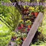 Ethel Wilson - @janetborcherding459 - Instagram