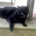 Janet Bouchard - Facebook