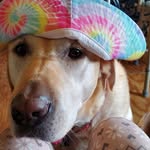 Janet Lee Seger Bouchard - @gerrysgurl1 - Instagram