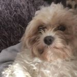 Jane Bourne - @jane.bourne.39 - Instagram