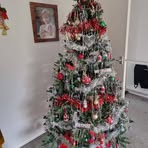 Janet Bourne - Facebook