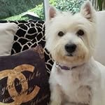 Janet Bowden- Brown - @janetbowdenbrown - Instagram