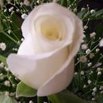 Janet Bowser - @janet.bowser.27 - Instagram