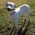 Janet Boyles - Facebook
