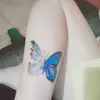 janetboyles920 - @janetboyles920 - TikTok