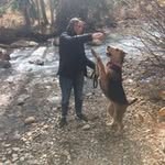 Jane Brackett - @jvabrackett - Instagram