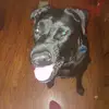 Jenni Brackett - @jenni.brackett - TikTok