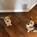 Janet Bratton - Facebook