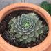 Janet Bratton - Facebook