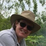 Janet Bray - @janetbray - Instagram