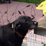 Janet Bray - @janet.bray.54 - Instagram
