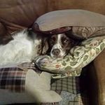 Janet Bray - @janet.bray.9 - Instagram