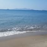 Janet Britten - @britten664 - Instagram