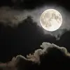 Janet Broadway - @janet.broadway - TikTok