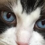 Janet Brownlee Bullion - @janet.b.bullion - Instagram