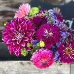 Jane Brubaker - @janedbrubaker - Instagram