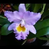 Janet Brubaker - @janet.brubaker - TikTok